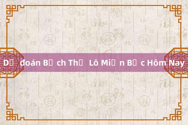 Dự đoán Bạch Thủ Lô Miền Bắc Hôm Nay