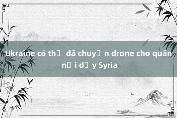 Ukraine có thể đã chuyển drone cho quân nổi dậy Syria