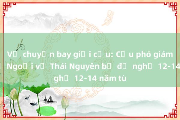 Vụ chuyến bay giải cứu: Cựu phó giám đốc Sở Ngoại vụ Thái Nguyên bị đề nghị 12-14 năm tù