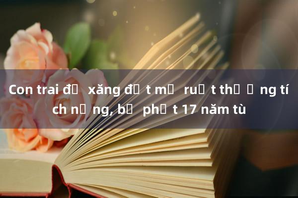 Con trai đổ xăng đốt mẹ ruột thương tích nặng， bị phạt 17 năm tù