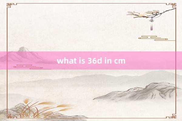 what is 36d in cm