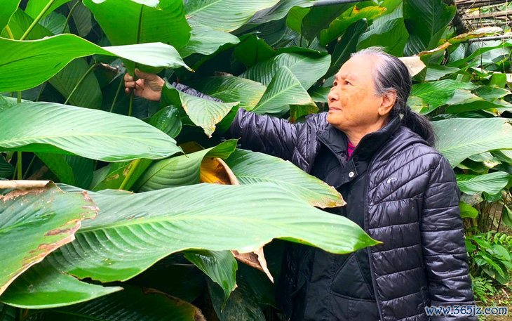 Mua sắm Tết: Vàng， ô tô bán chậm nhưng bánh kẹo thực phẩm liên tục phải châm thêm hàng - Ảnh 4.